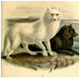 #8