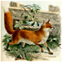 #8