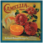 #2